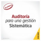 Plantilla blog - Auditoria sistematica
