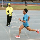 deportivas